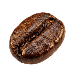 Coffee Bean